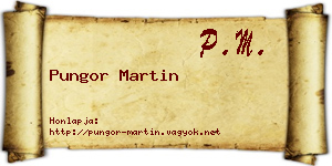 Pungor Martin névjegykártya